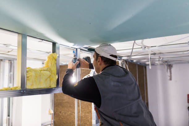 Best Insulation Removal Services  in Brilliant, OH