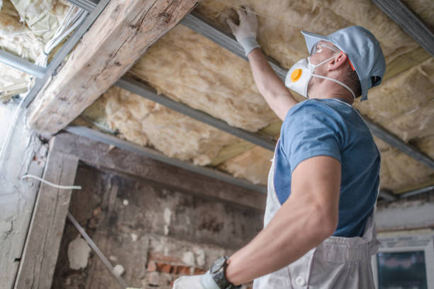Best Soundproof Insulation Installation  in Brilliant, OH
