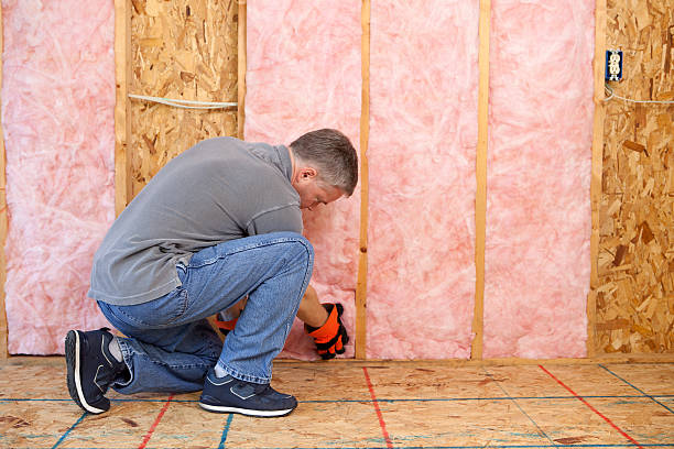 Best Home Insulation Services  in Brilliant, OH